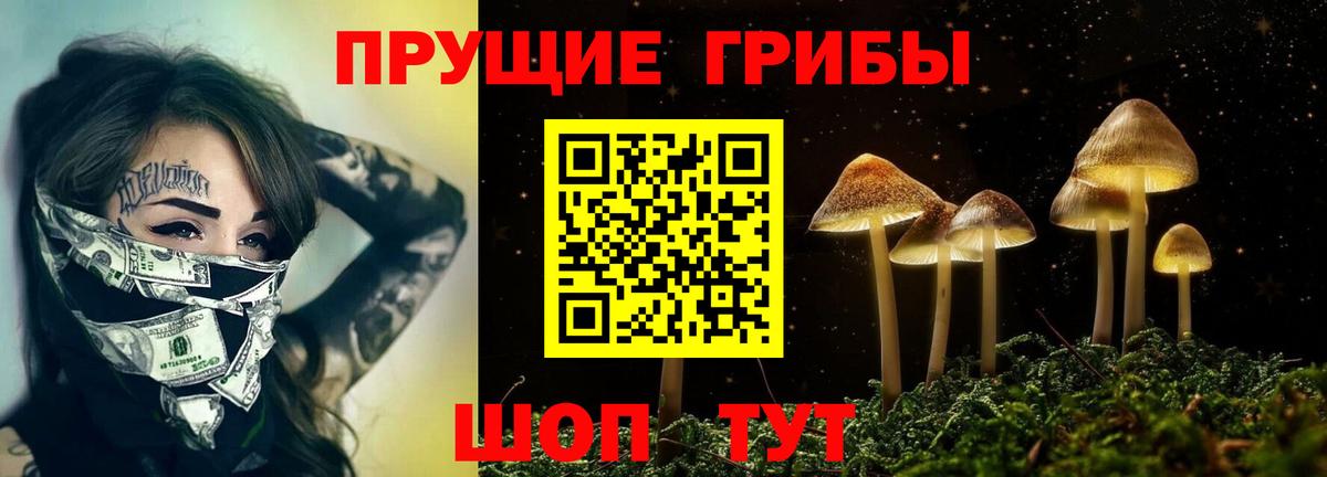 Галлюциногенные грибы GOLDEN TEACHER  где продают   Ангарск  Вход с VPN 